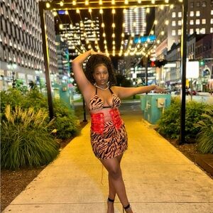 Stylish Zebra Print 2 piece with Red Corset